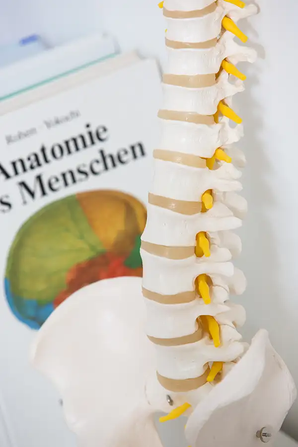 Anatomoie Ortopaedie Praxis